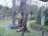 img0076.jpg