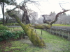 img0077.jpg