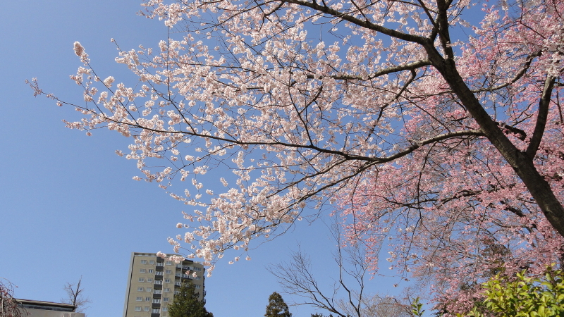 img0001.jpg