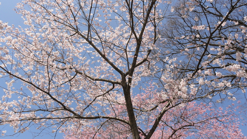 img0002.jpg