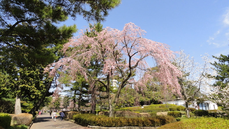 img0006.jpg