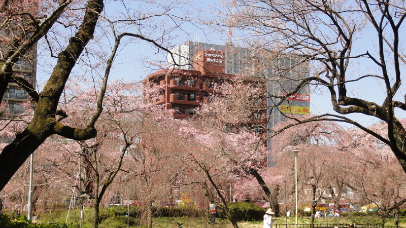 img0007.jpg