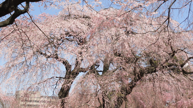 img0009.jpg