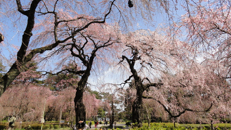 img0010.jpg