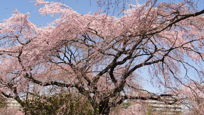 img0011.jpg