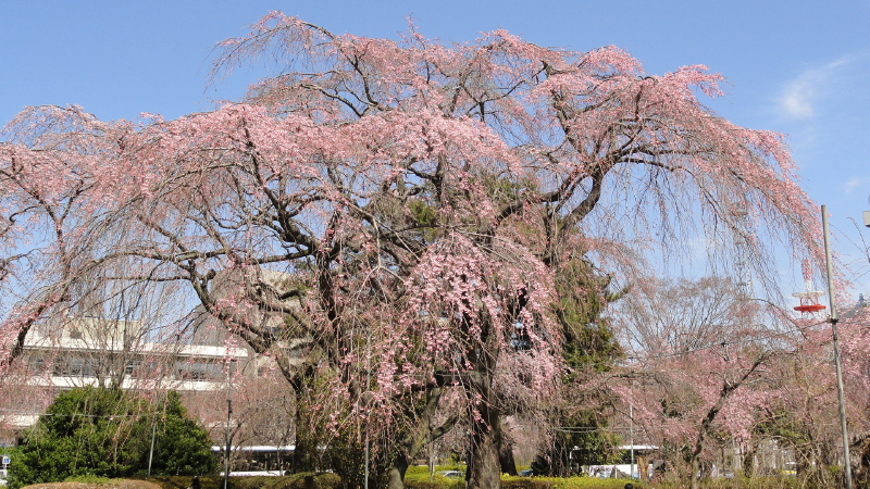 img0012.jpg