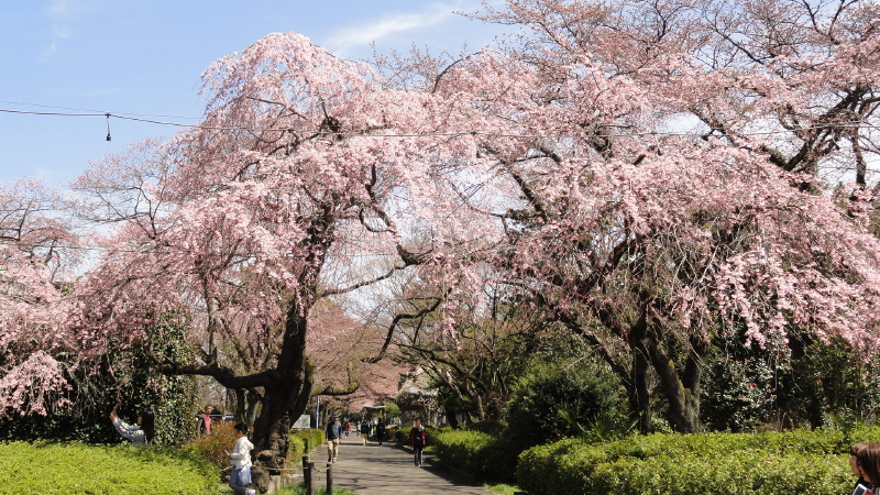 img0013.jpg