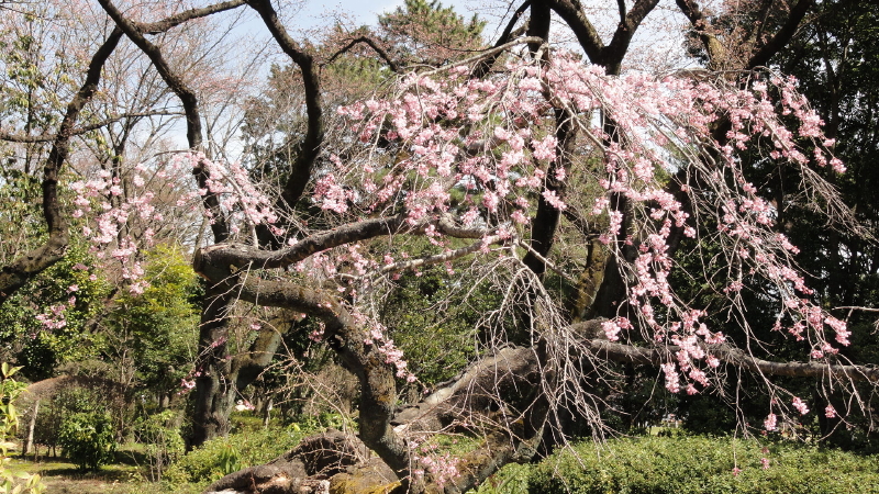 img0015.jpg