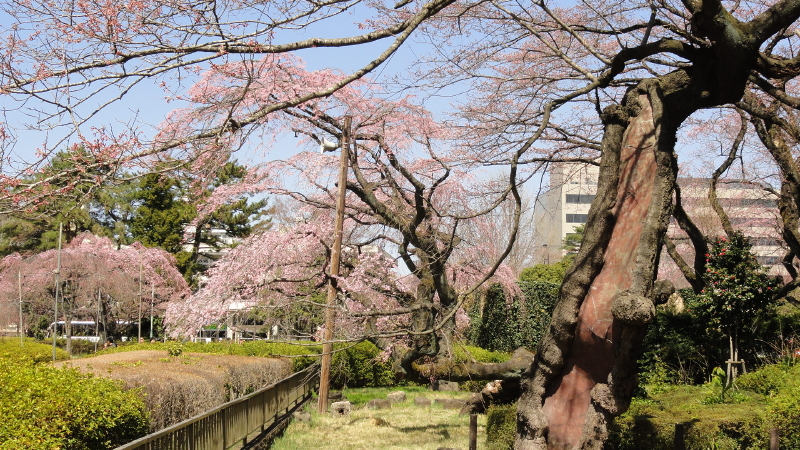 img0016.jpg