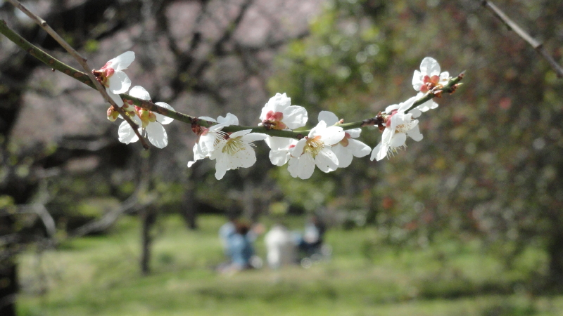img0019.jpg