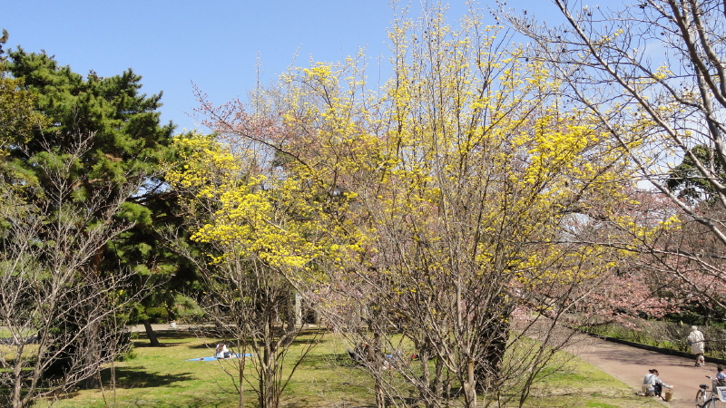 img0020.jpg
