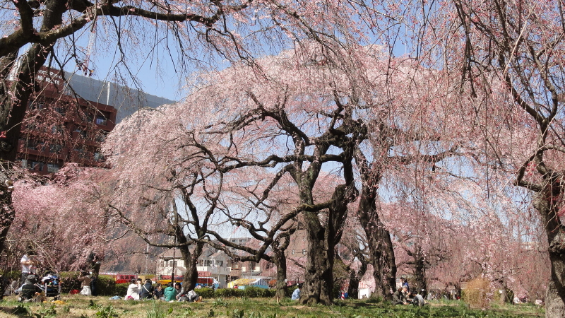 img0025.jpg