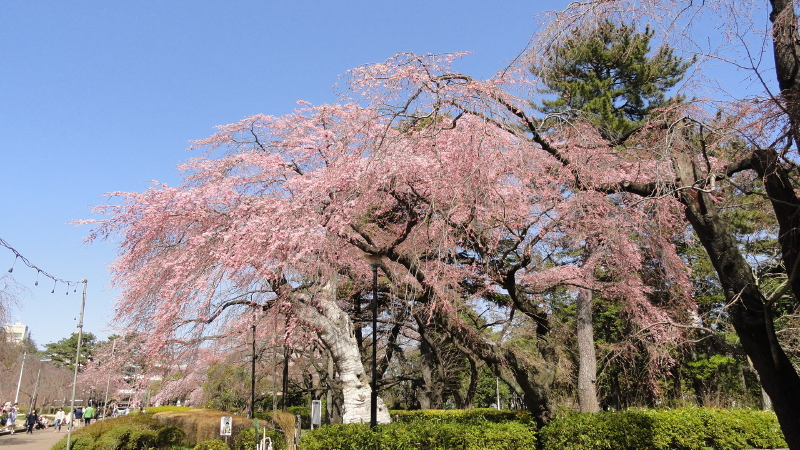 img0027.jpg