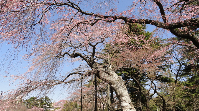 img0028.jpg