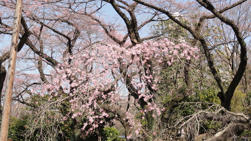 img0030.jpg