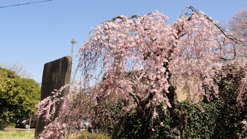 img0032.jpg