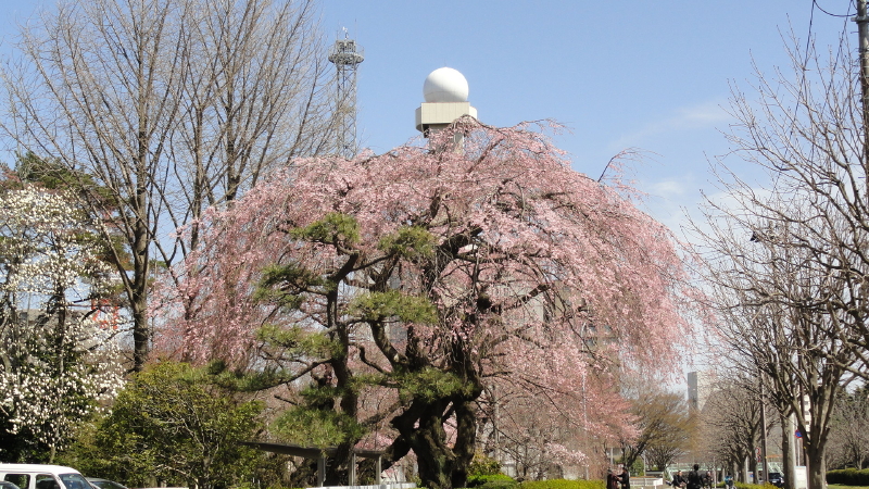 img0033.jpg