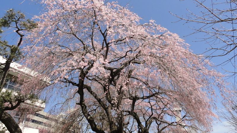 img0034.jpg