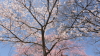 img0003.jpg