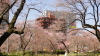 img0007.jpg