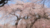 img0009.jpg