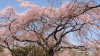 img0011.jpg
