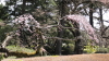 img0014.jpg