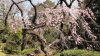 img0015.jpg