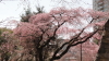 img0017.jpg