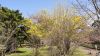 img0020.jpg