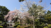 img0021.jpg