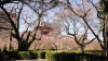 img0023.jpg
