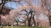 img0025.jpg