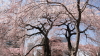img0026.jpg
