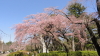 img0027.jpg