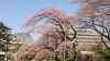 img0029.jpg