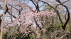 img0030.jpg