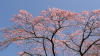 img0031.jpg