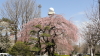 img0033.jpg