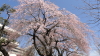 img0034.jpg