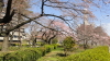 img0035.jpg
