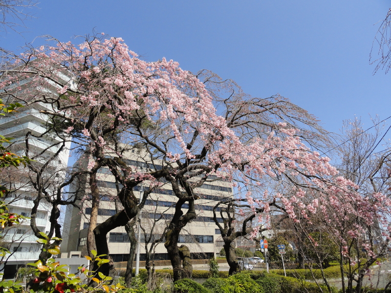 img0010.jpg