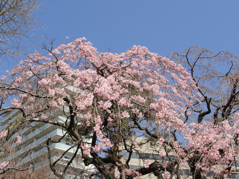 img0011.jpg