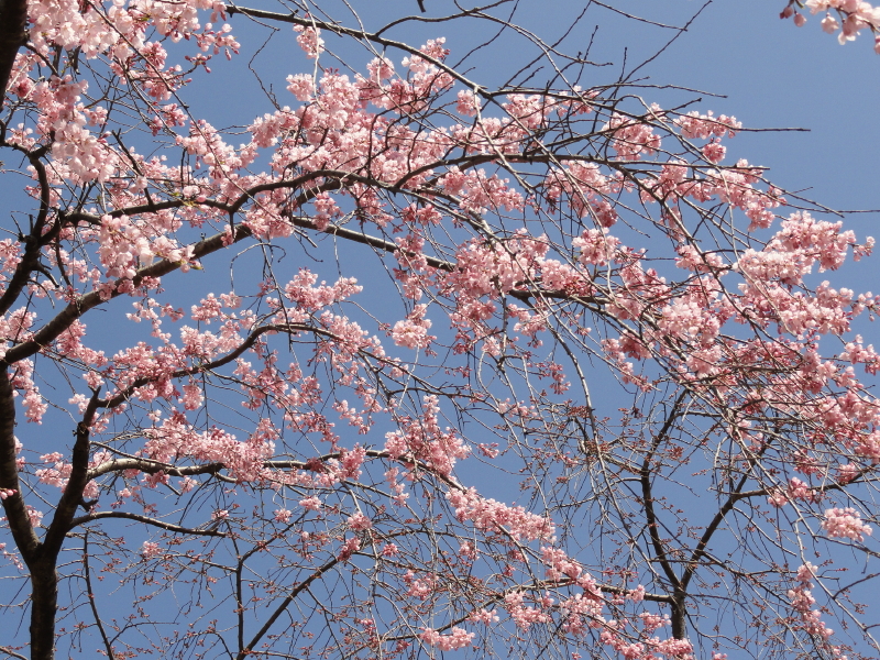 img0012.jpg