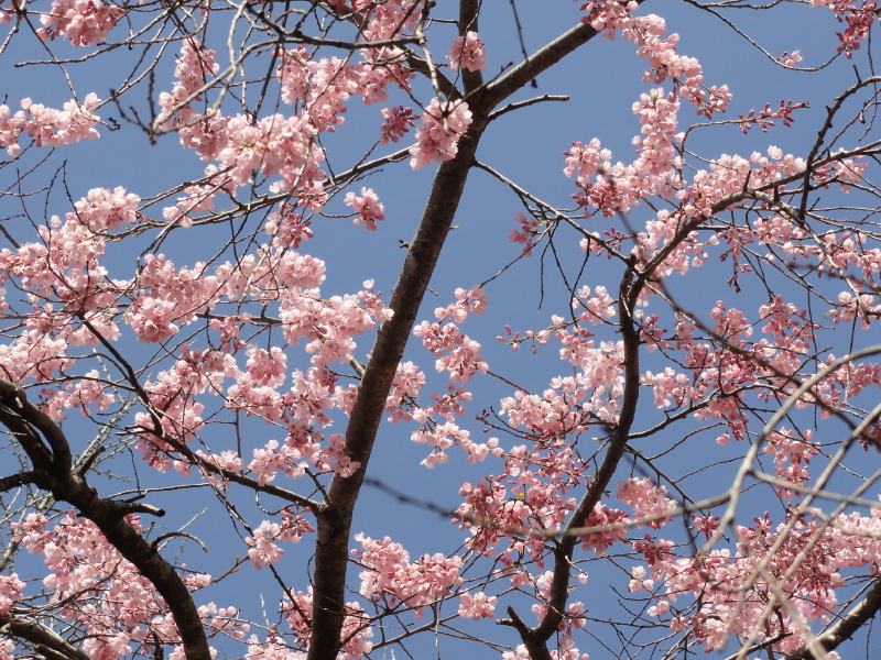 img0013.jpg