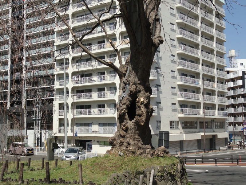 img0017.jpg