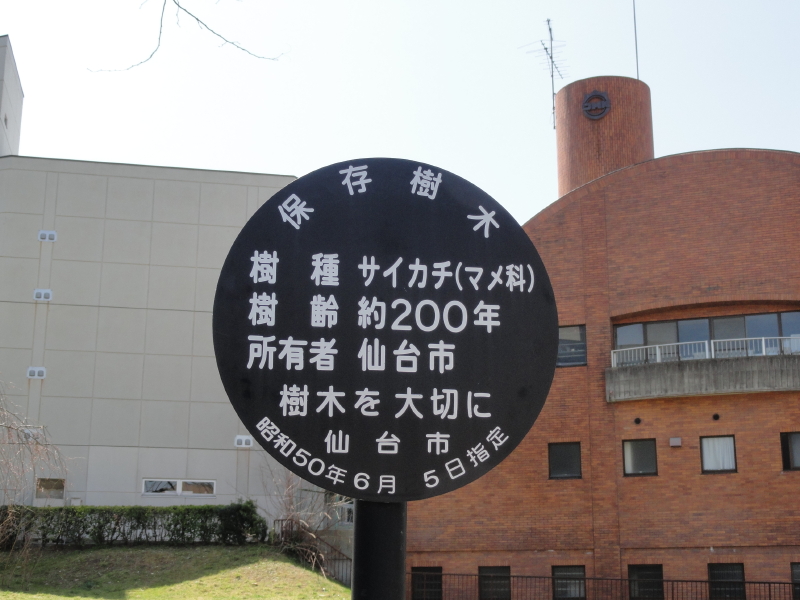 img0018.jpg