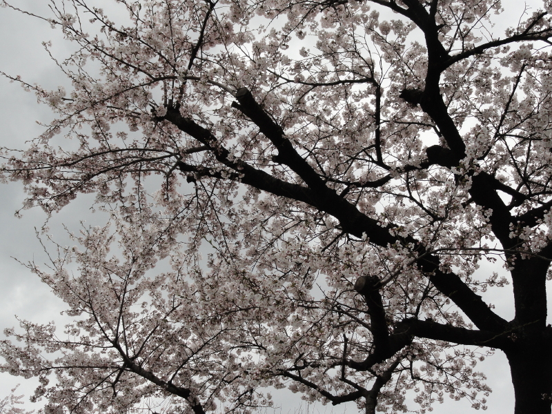 img0020.jpg