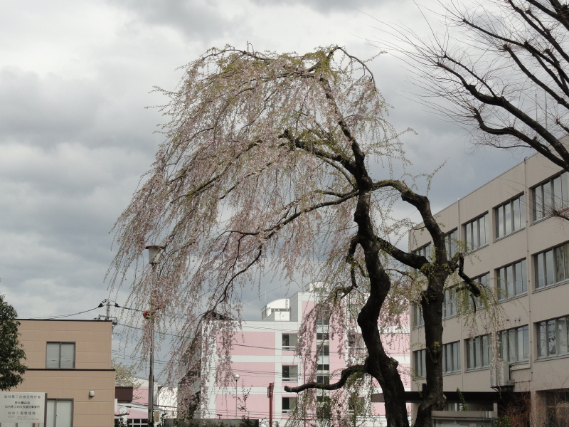 img0022.jpg