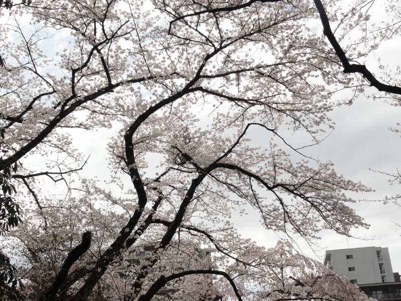 img0036.jpg